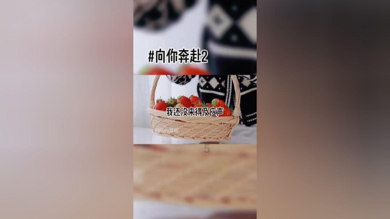 欧盟对华电动自行车发起第一次双反日落复审调查